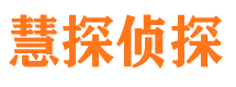 长武市调查公司